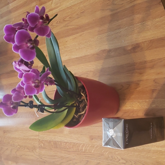 Lancome Advanced Genifique Youth Activating Concentrate 3.88 FL Ounce nwt - Picture 8 of 8